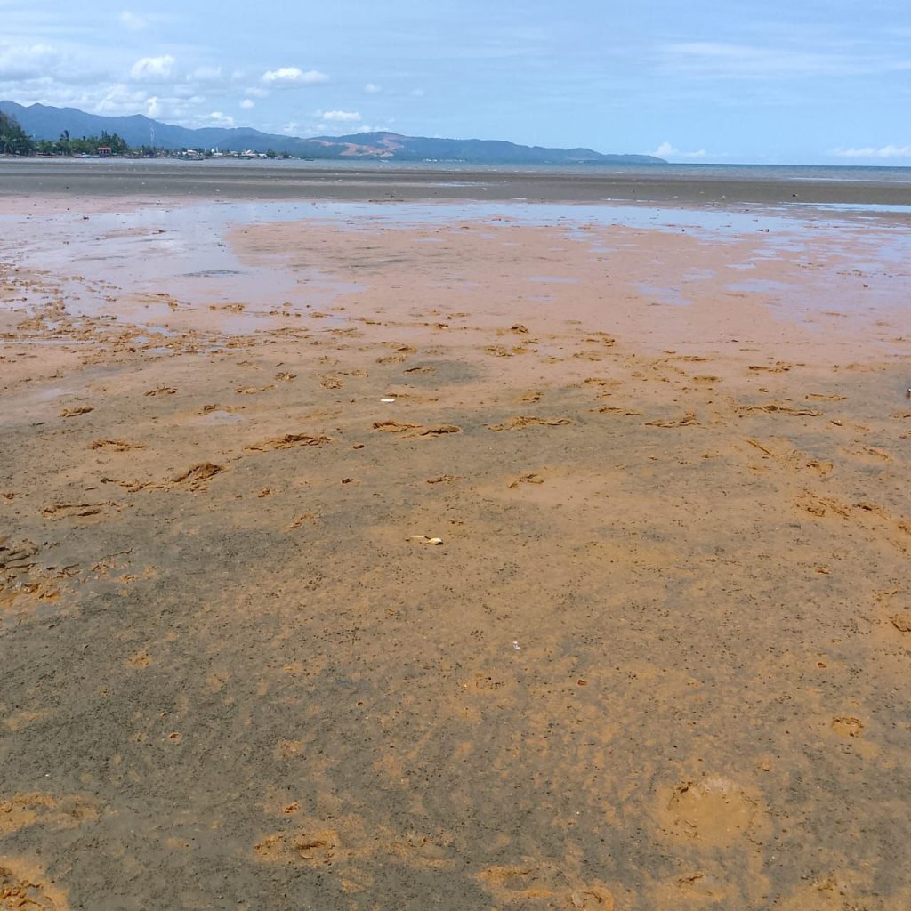 Tambang Cemari Teluk Buli Halmahera Timur