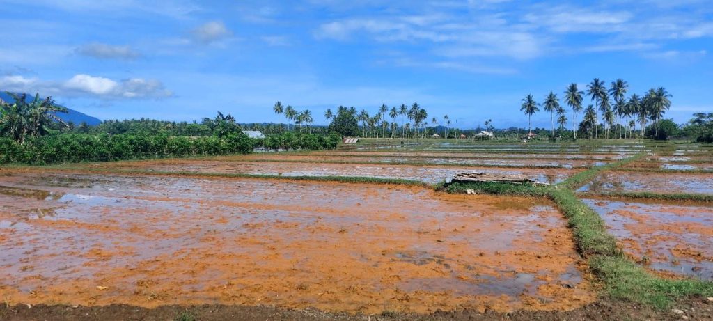 JATAM Sebut Pencemaran di Subaim Bentuk Kejahatan Ekologi